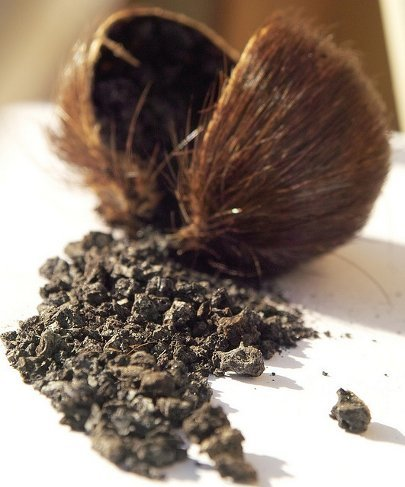 Almizclada