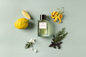 NICE BERGAMOTE by Antoine Maisondieu
