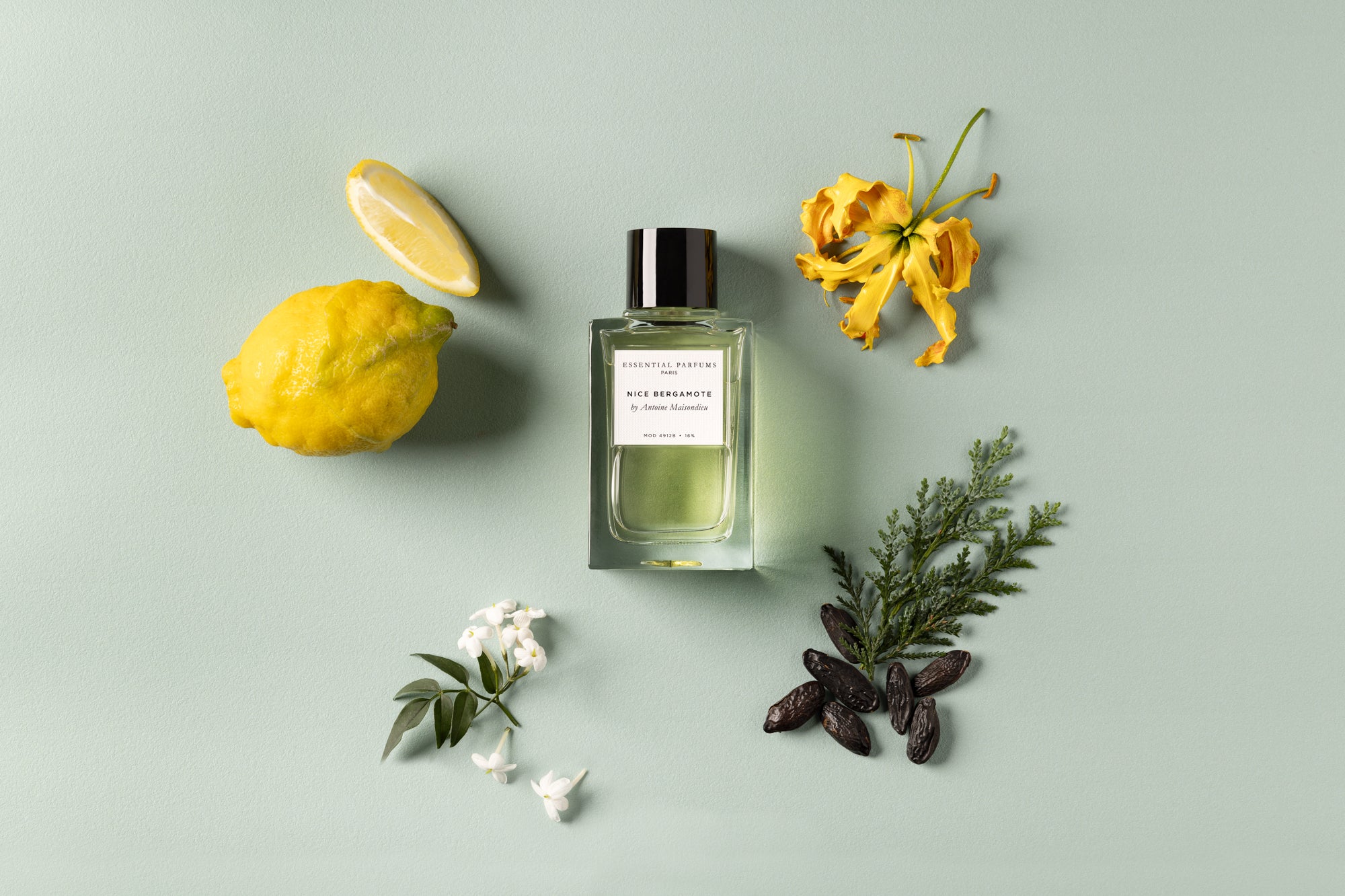 NICE BERGAMOTE by Antoine Maisondieu