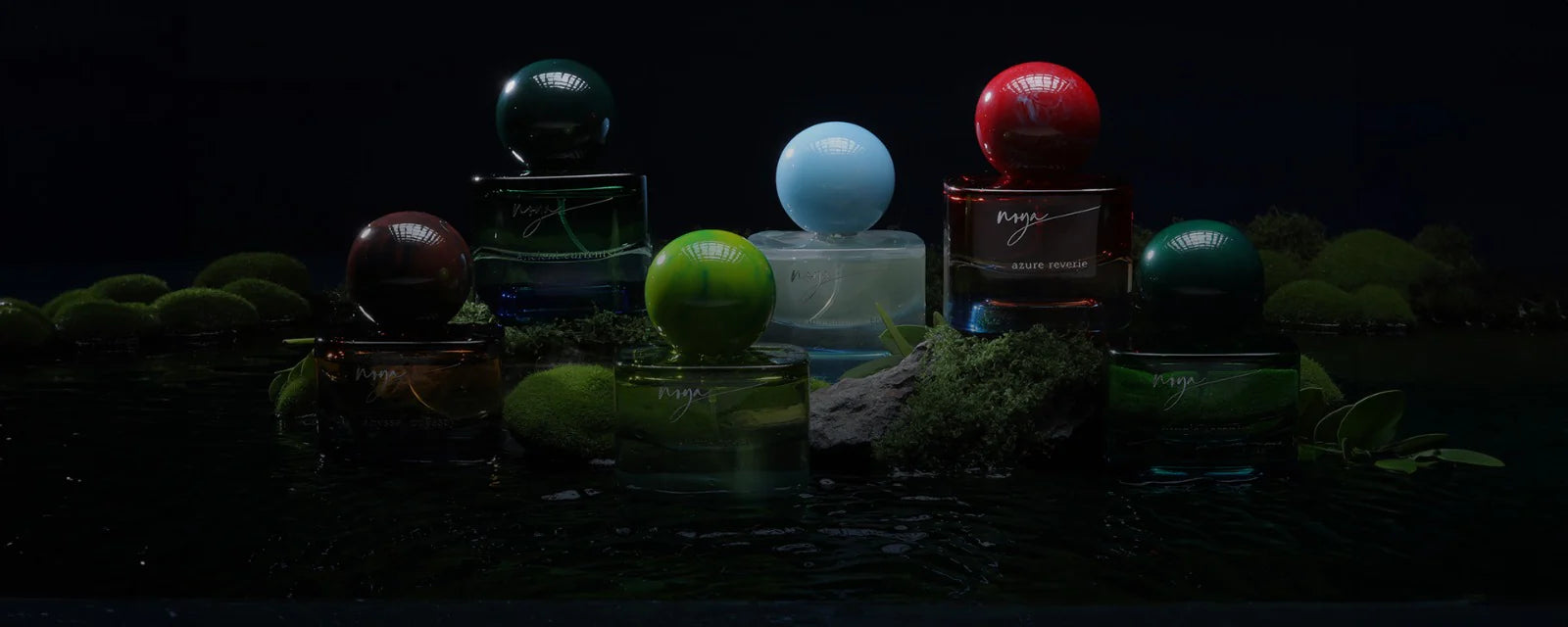 After_Reveal_Banner_-_Desktop_2.webp