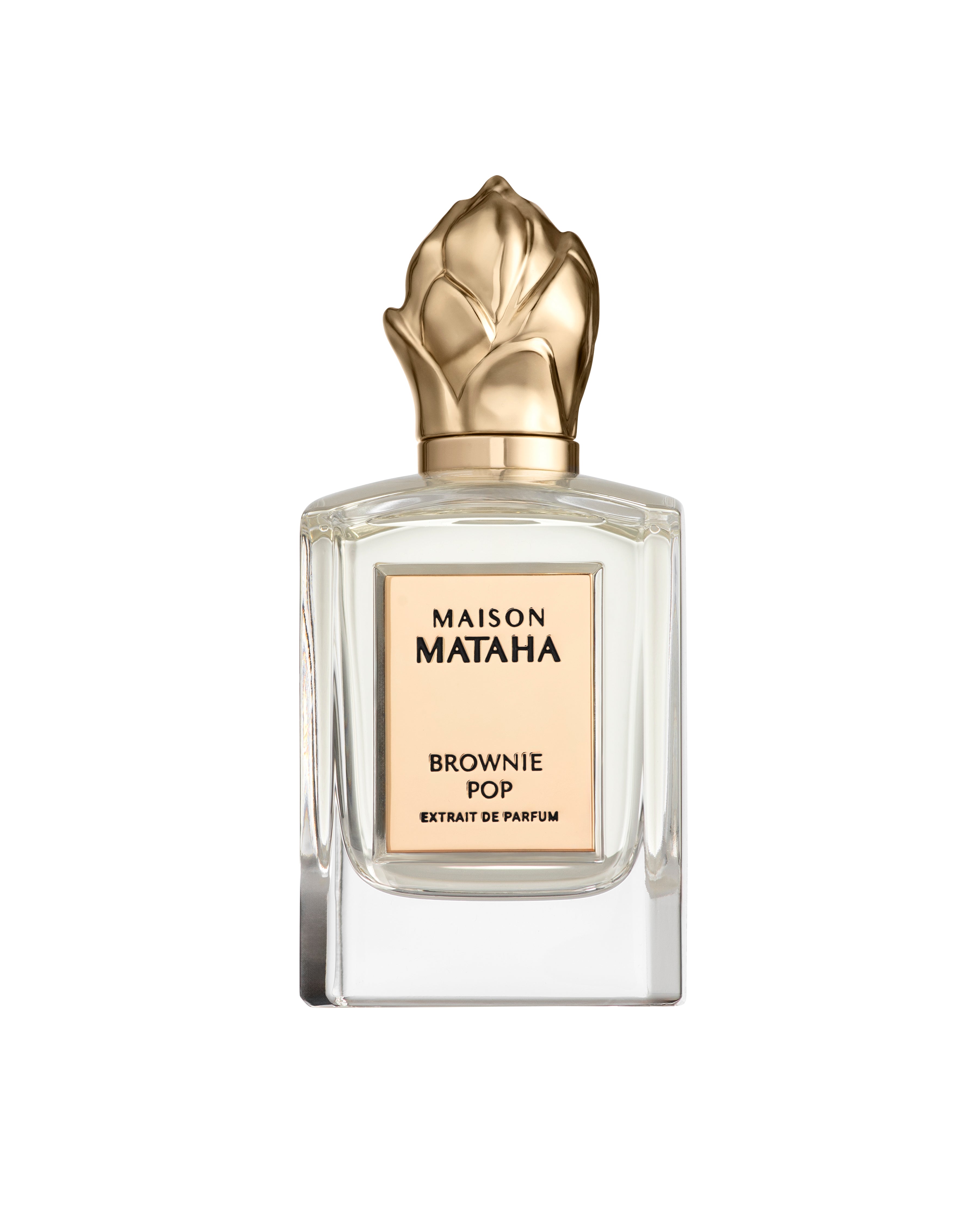 BROWNIE POP EXTRAIT 100ML