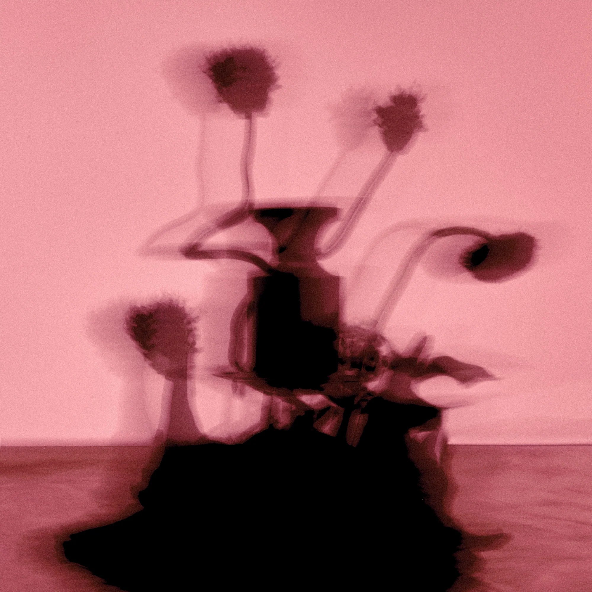 PEX9_SAINT_PETAL_04_resize_2000px.webp