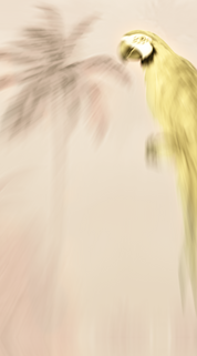 CALI Parfum 50 ml - MUTIS NUEVA GRANADA